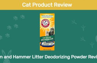 Arm and Hammer Litter Deodorizing Powder Review
