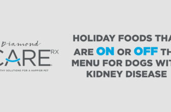 Holiday Food That’s Safe for Dogs with Kidney Disease