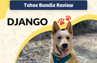 DJANGO Tahoe Harness & Collar Bundle Review 2025: Dog Adventuring Made Easy