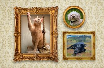 The Diamond Family Album Yearbook