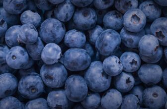 Are Blueberries Safe for Dogs? Safety & Serving Tips